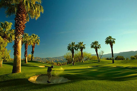 Desert Springs Golf